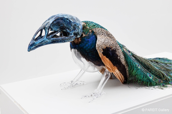 VANMECHELEN Koen - Artificial Crossbreeding